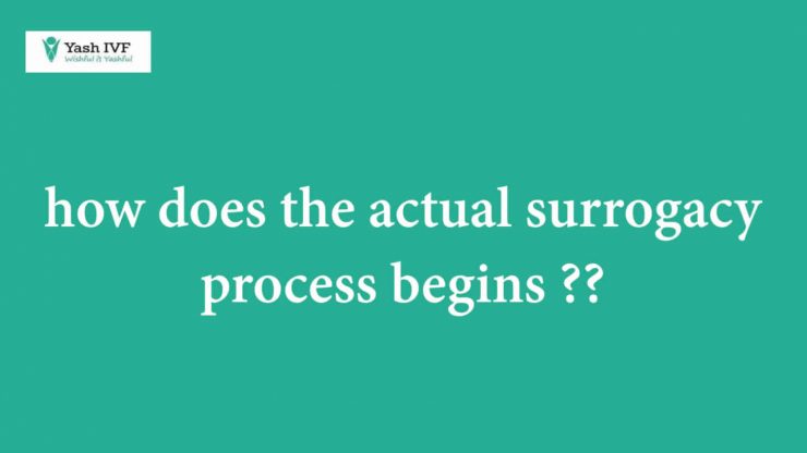 How does the actual surrogacy process begin?